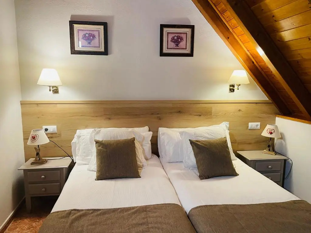Standard Double room (twin beds)