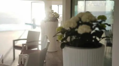 White Club Residence - фото 7