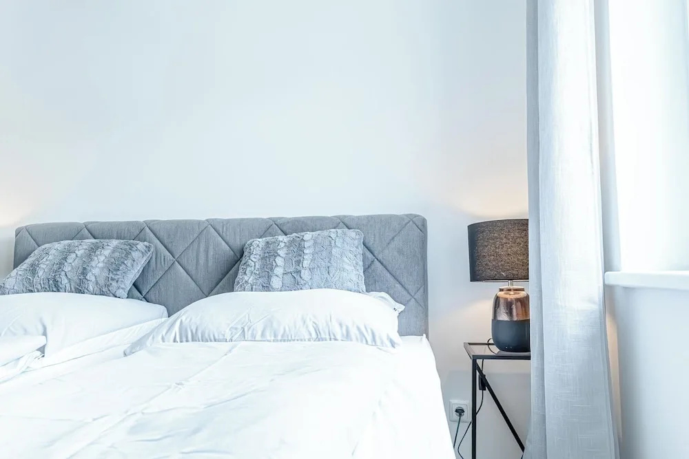 Chic 1BR with 1LV Apt In Central Vienna