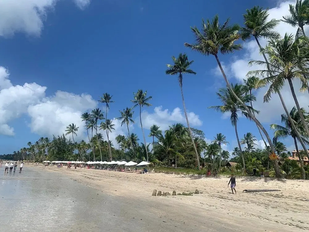 Beach & Waterfront