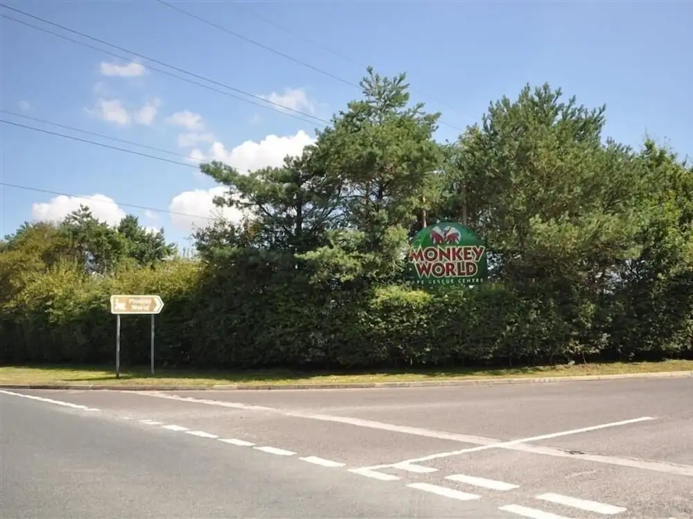 Hotel photo 16