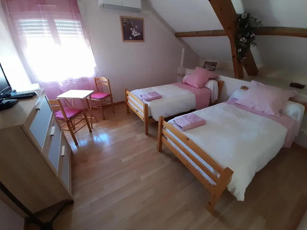 Standard Double room (twin beds)
