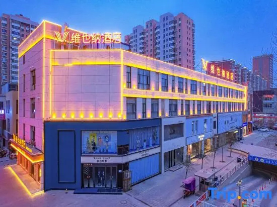 Vienna Hotel (Shizuishan Dawukou) - фото 3