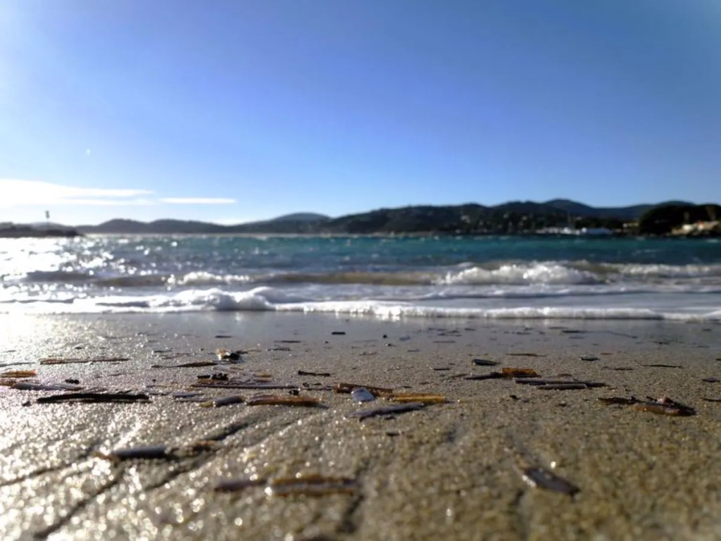 Beach & Waterfront