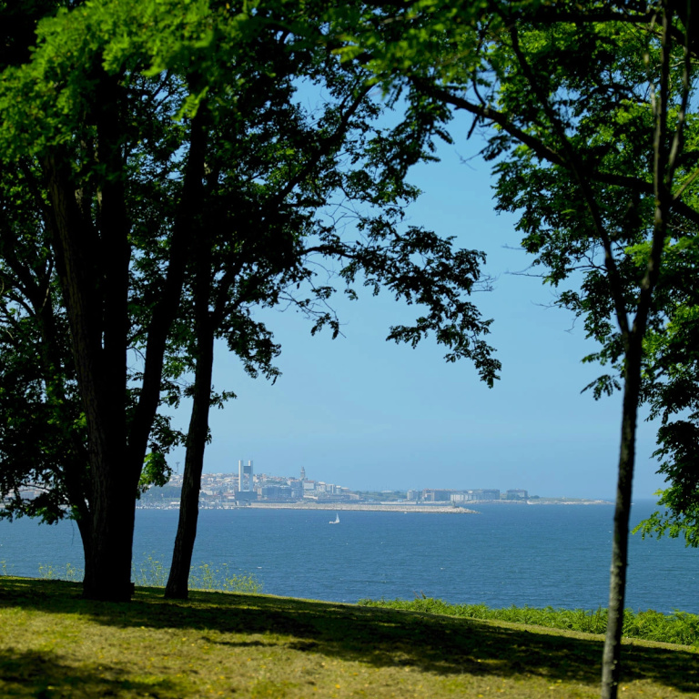 Beach & Waterfront