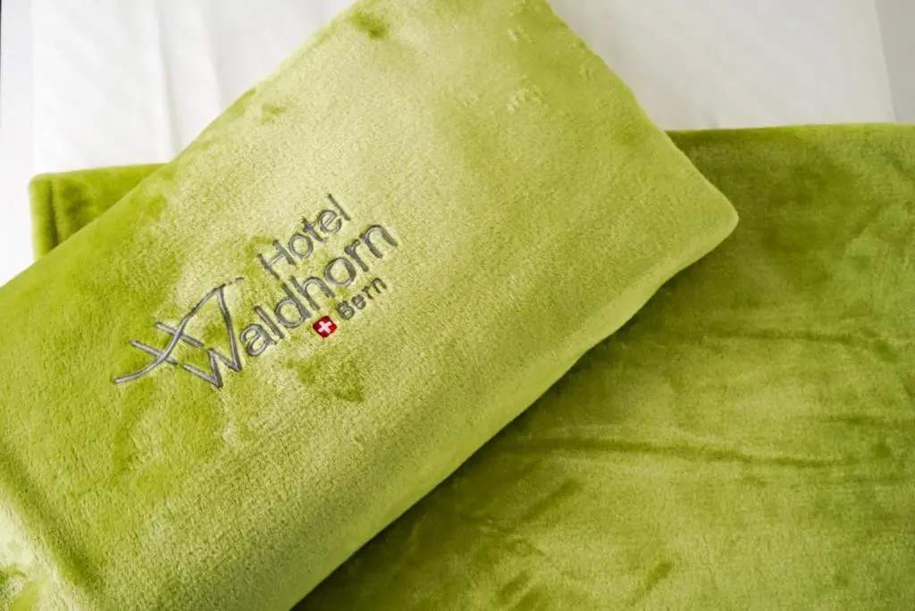 Hotel Waldhorn - Chambres