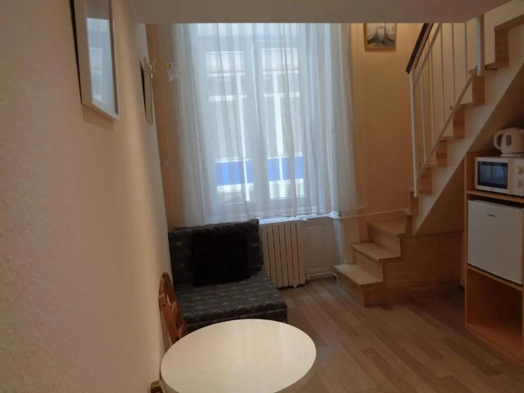 Standard Double room with city view (full double bed)