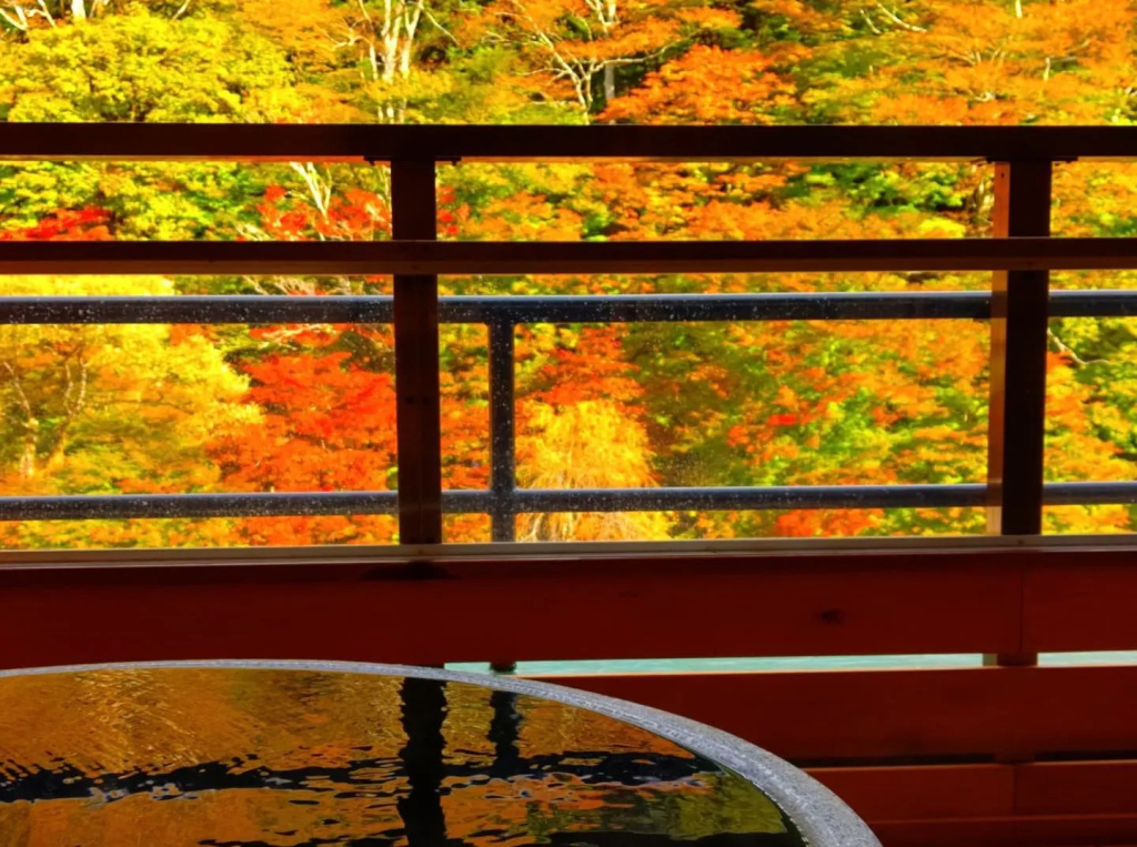 Ryokan Kamiaizuya - Chambres