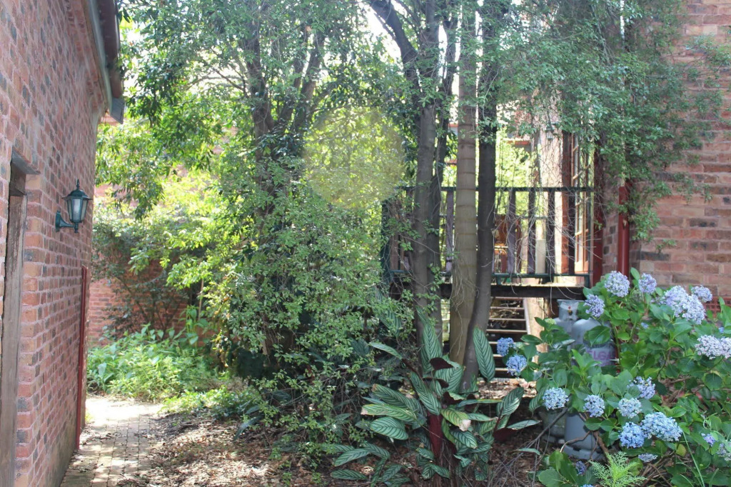 Image 13