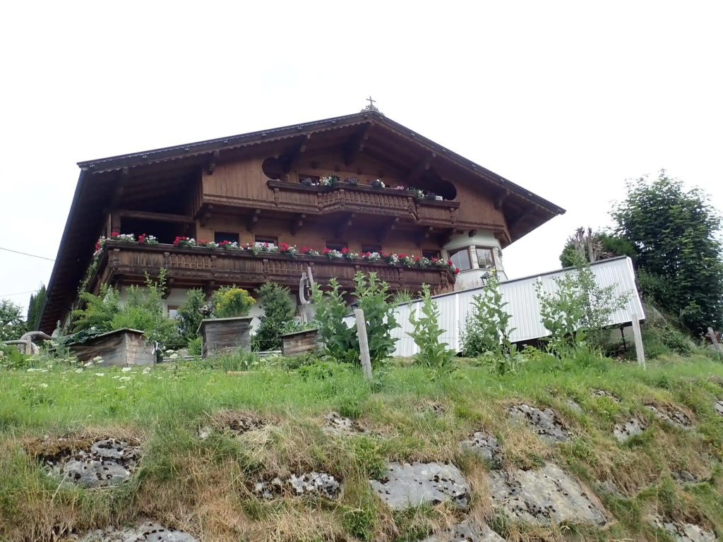 Ferienwohnung Pusteblume