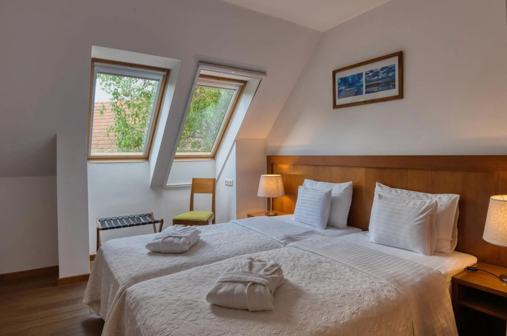 Tisza Balneum Thermal Hotel - фото 41