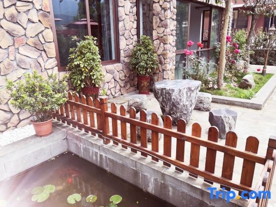 Mount Emei Memory of Emei — 4
