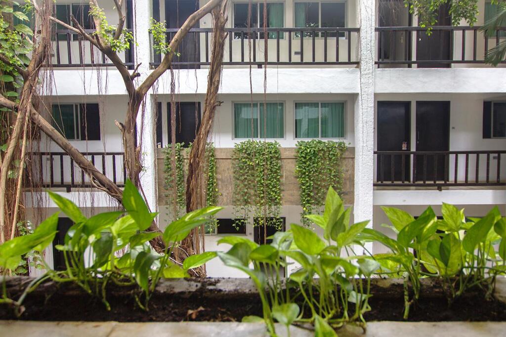 Hotel Colonial Cancun by null