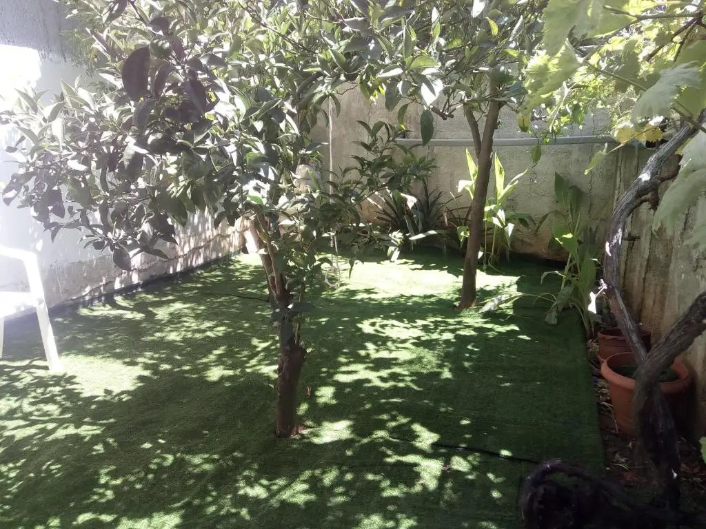 Apartment with garden view