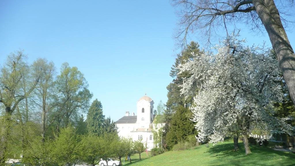 Schlosshotel Rosenau Superior - Général
