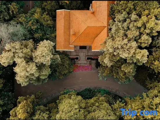 Wuhan Conference Center - Général