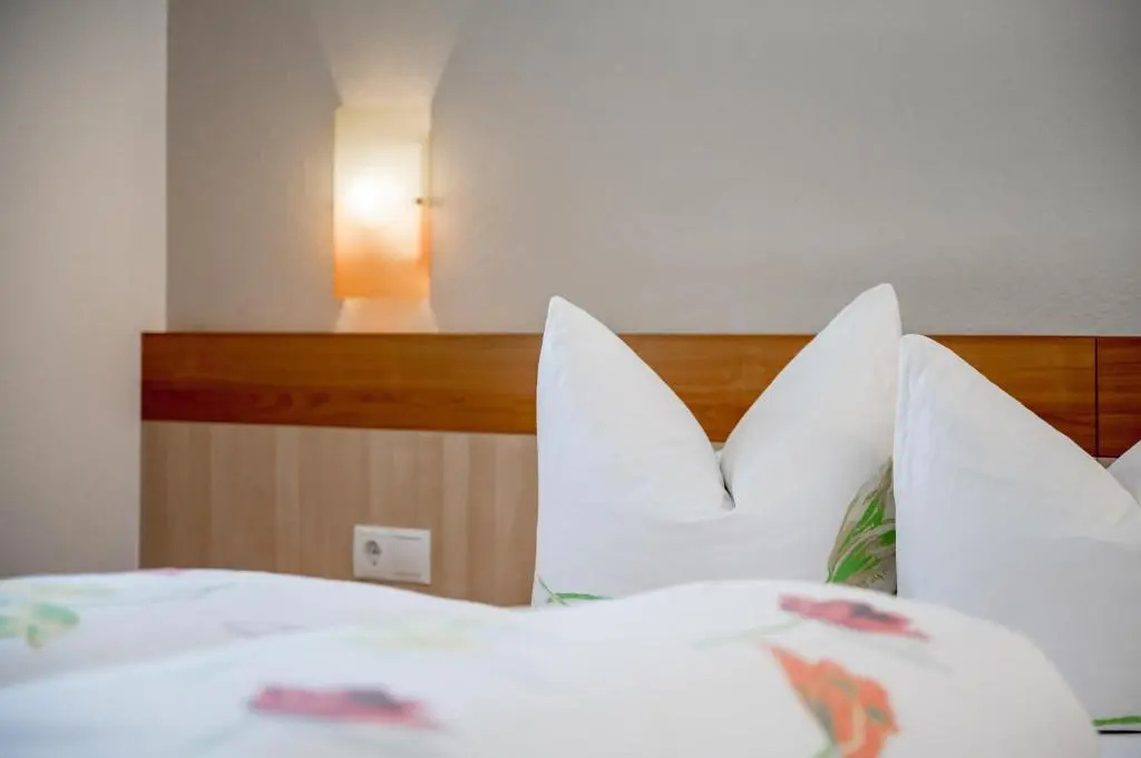 Deluxe Double room (twin beds)