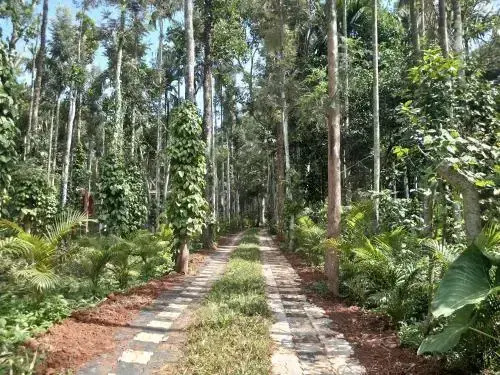 Wayanad Lux Inn