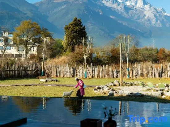 Buwan Liyu · Wild Aurora Sunrise Golden Peak Wilderness Homestay (Baisha Ancient Town Branch) in Lijiang