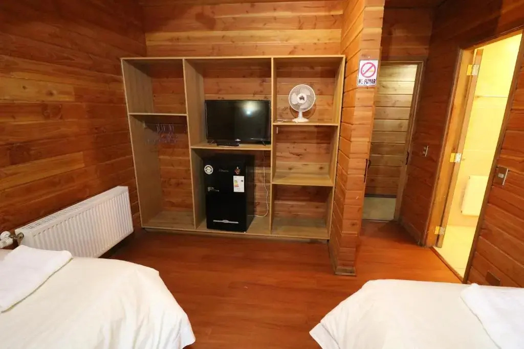 Standard Double room (twin beds)