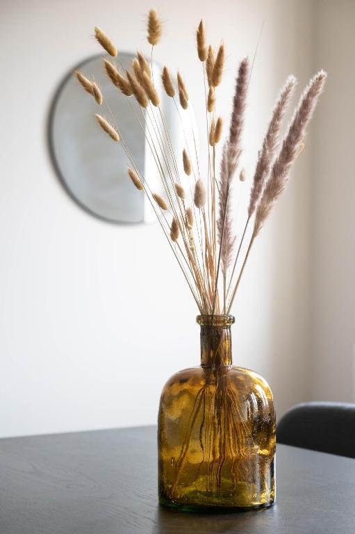 Yang - Calme Moderne Spacieux et tout équipé