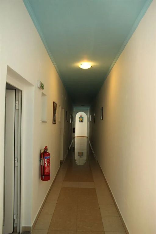 Image 19