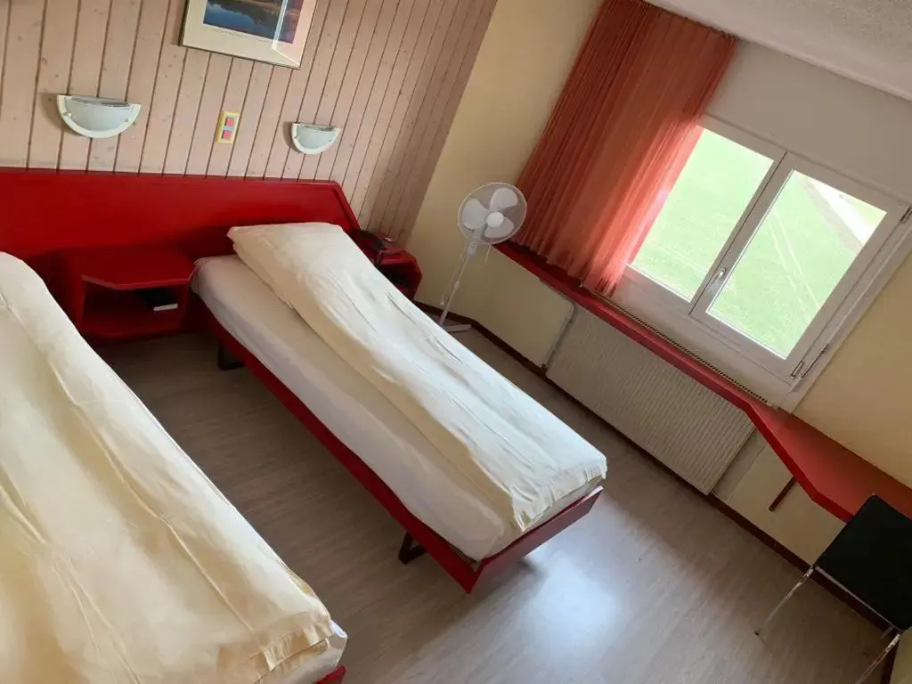 Standard Double room (twin beds)
