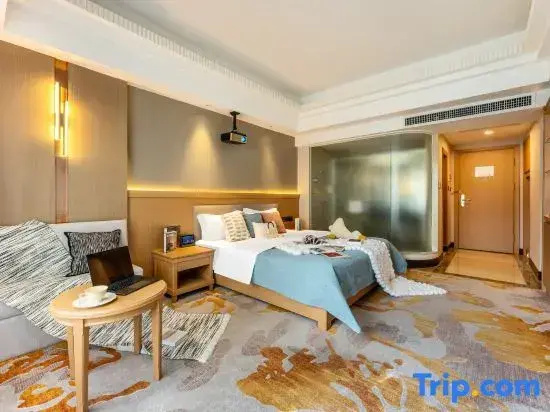 Standard Double room with city view (full double bed)