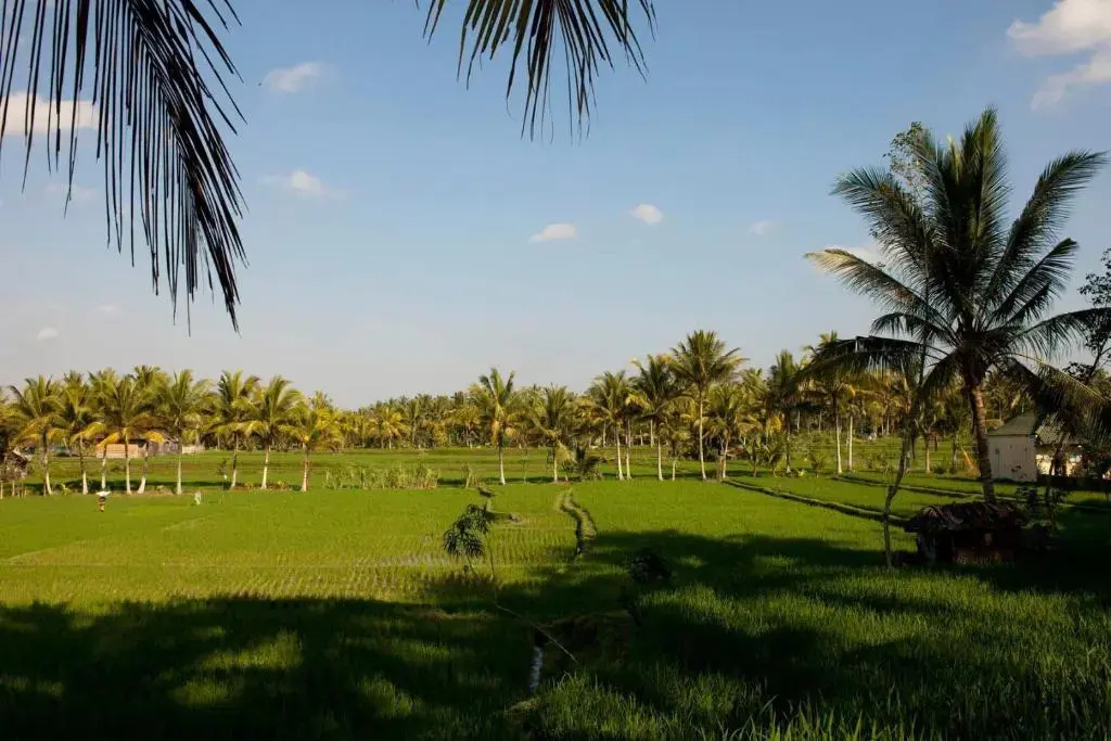Puri Bebengan Bungalow