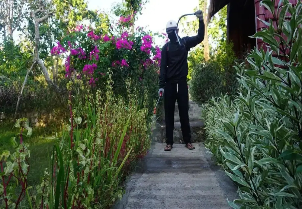 Bougainvillea Bungalow