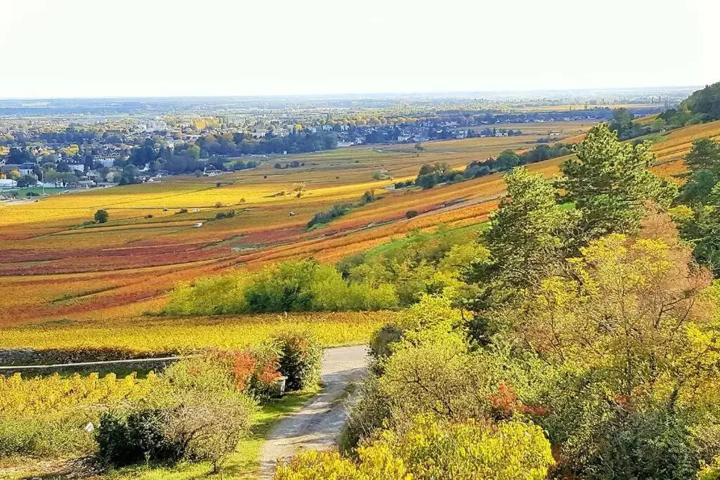 La Maison de l'Ecu : charme et vue incroyable