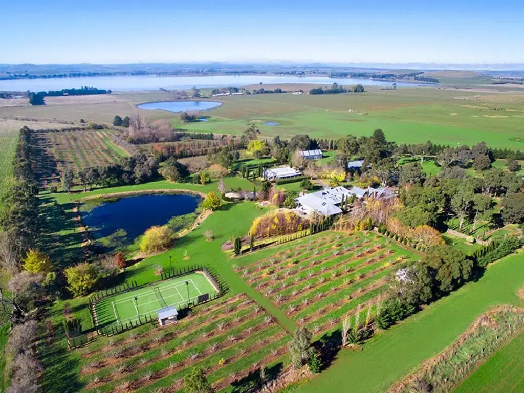 Orchards at Spring Vale Farm