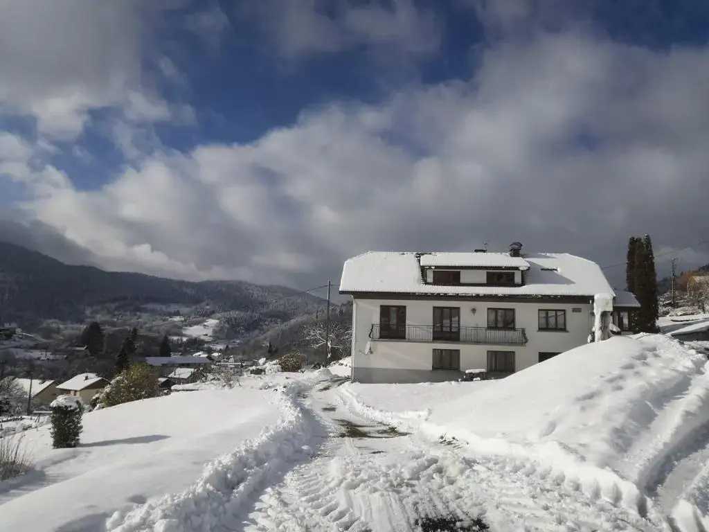 Voir la photo 2 — Gîte de famille dans les Vosges