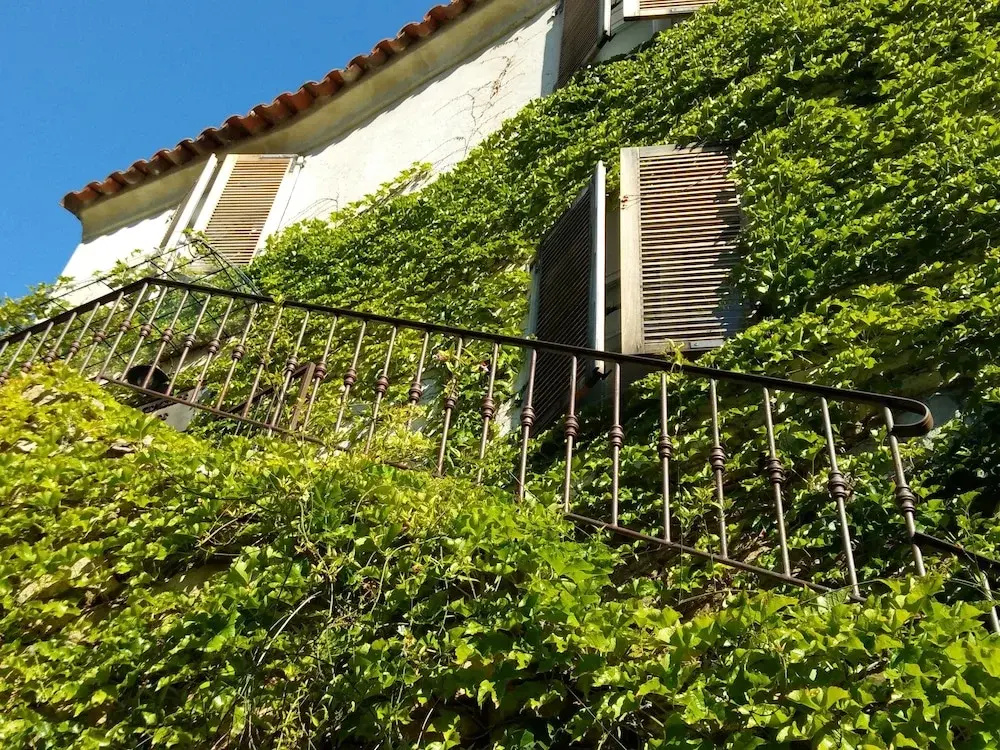 Les Chambres d'Hôtes de Magali
