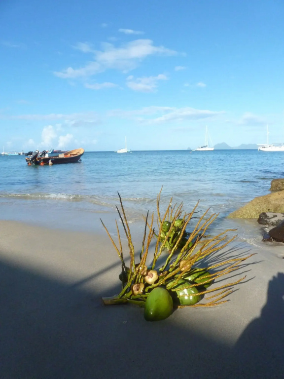 Beach & Waterfront
