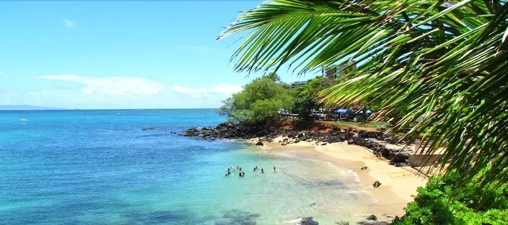 Polynesian Shores - Général