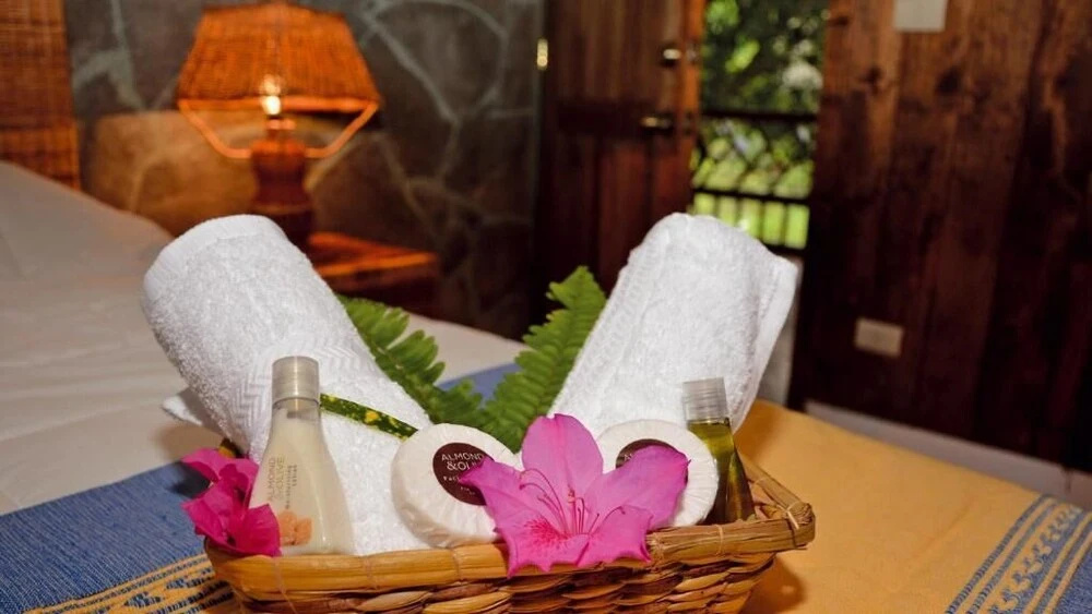 Mango Selva Bio Hotel - Chambres