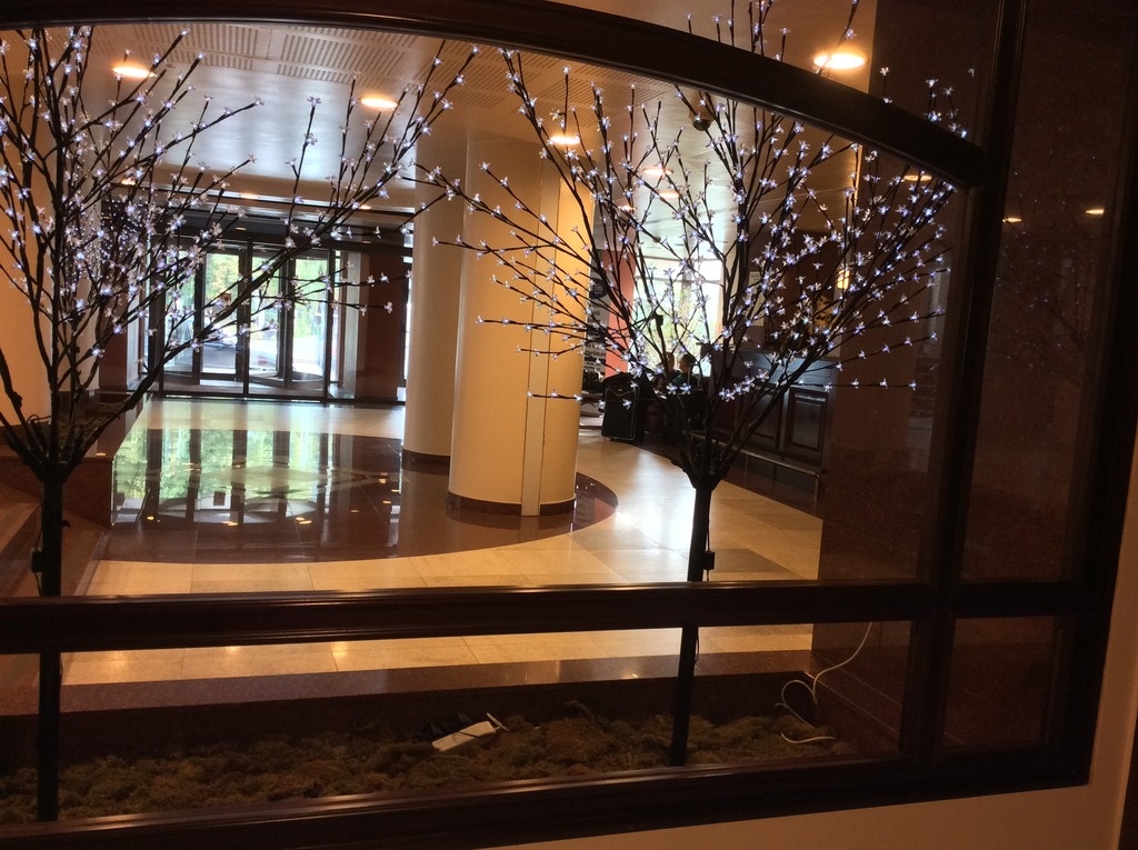 Spa & Wellness