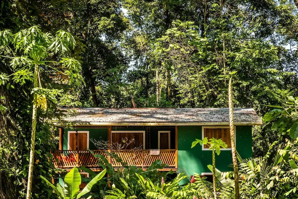 Green Jungle House