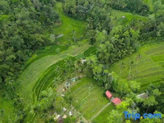 Pesona Bali Ecolodge by Agata