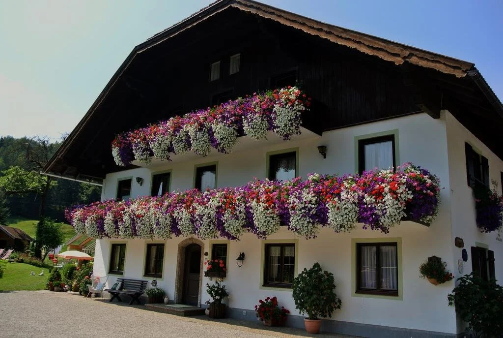 Treindlhof