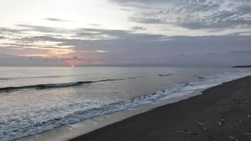 Casa Caletas - фото 16