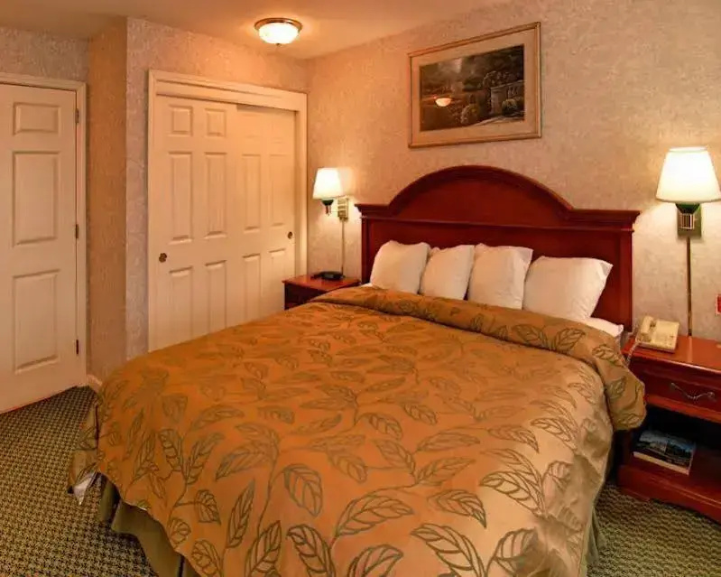 Ramada Limited San Francisco Airport West San Brun