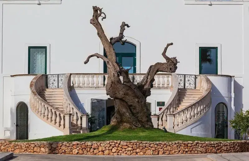 Masseria Relais del Cardinale - Chambres