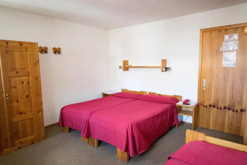 Standard Double room (full double bed)