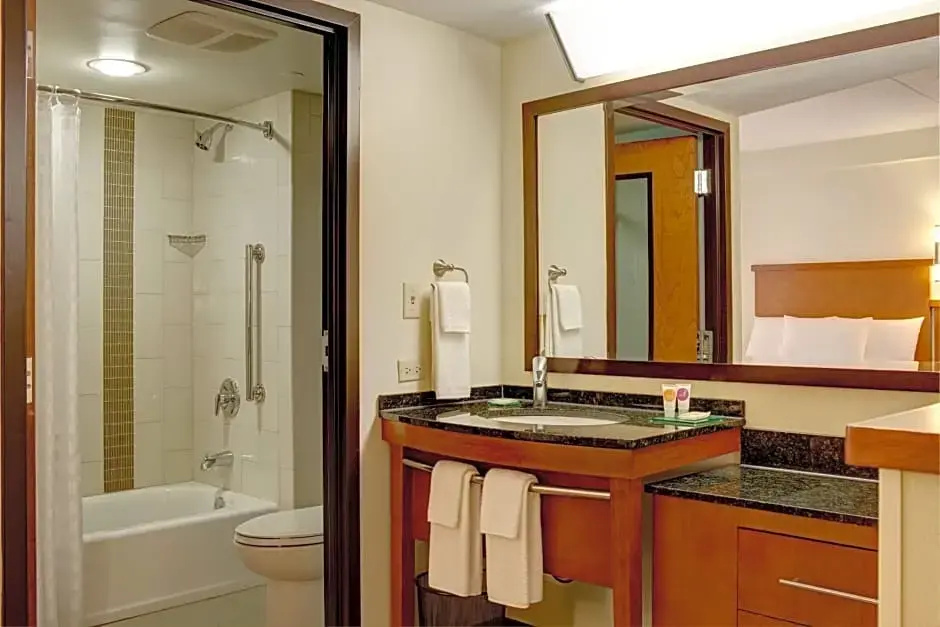 Hyatt Place Raleigh-Durham Airport - Chambres