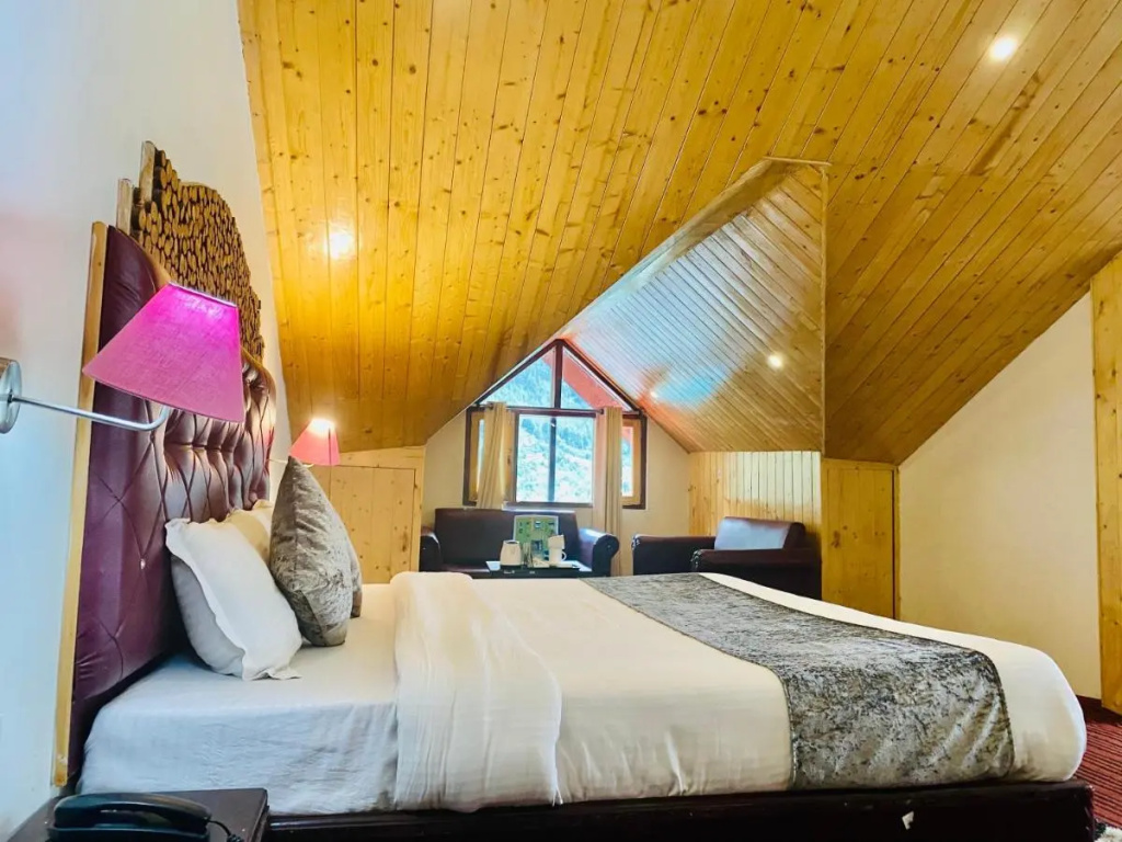 Hotel Hadimba Palace Manali - Général