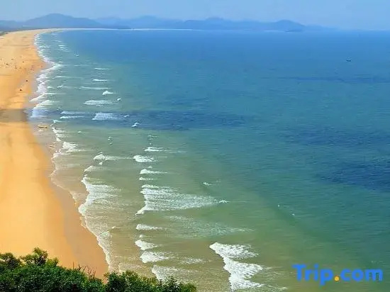 Beach & Waterfront