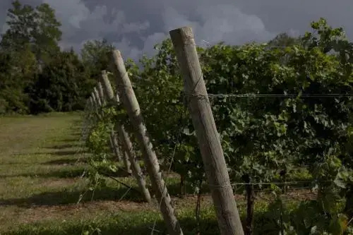 Dimora del Bugiardo - фото 9