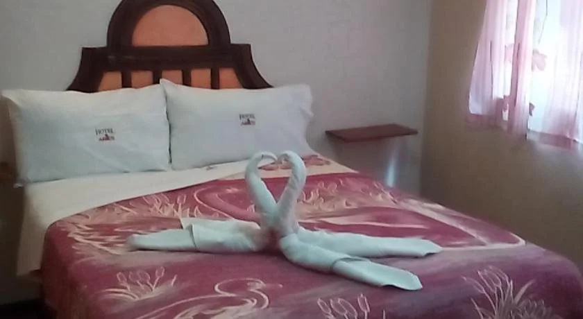 Hotel Aries Tlaxcala - фото 5